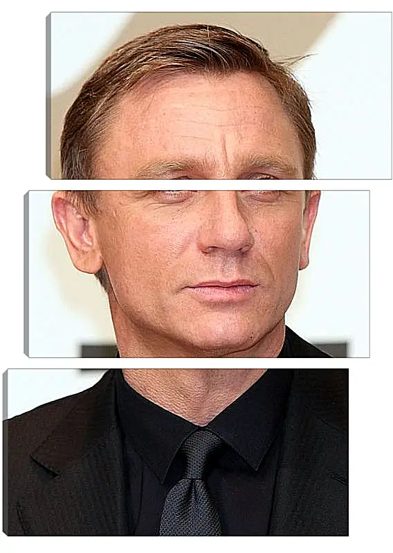 Модульная картина - Дэниел Крейг. Daniel Craig