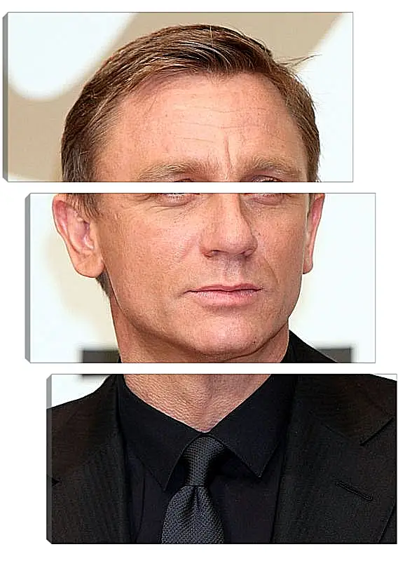 Модульная картина - Дэниел Крейг. Daniel Craig