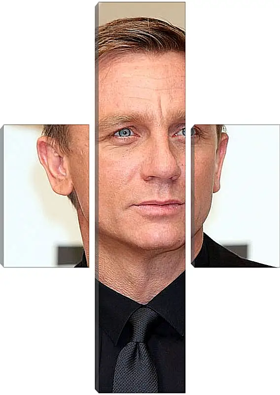 Модульная картина - Дэниел Крейг. Daniel Craig