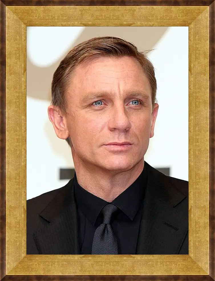 Картина в раме - Дэниел Крейг. Daniel Craig