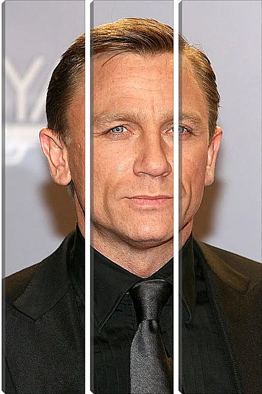 Модульная картина - Дэниел Крейг. Daniel Craig