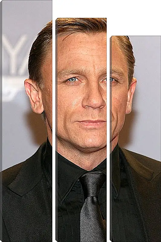 Модульная картина - Дэниел Крейг. Daniel Craig