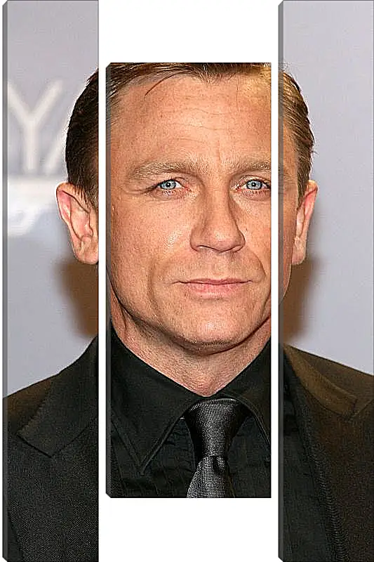 Модульная картина - Дэниел Крейг. Daniel Craig