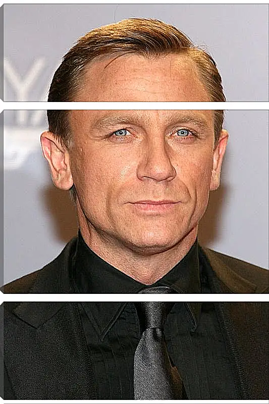 Модульная картина - Дэниел Крейг. Daniel Craig