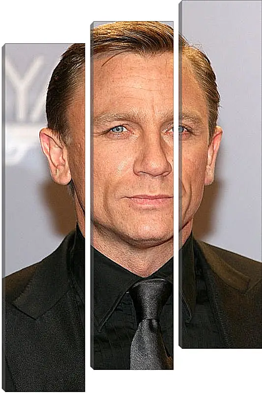 Модульная картина - Дэниел Крейг. Daniel Craig