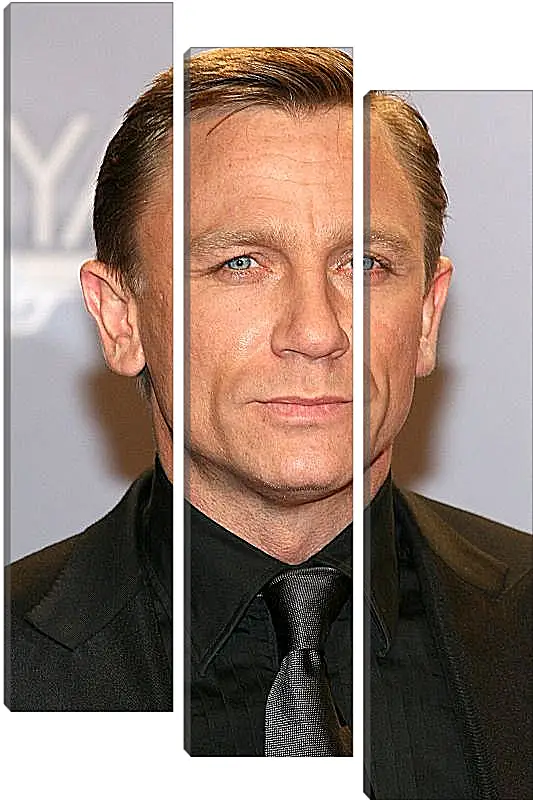 Модульная картина - Дэниел Крейг. Daniel Craig