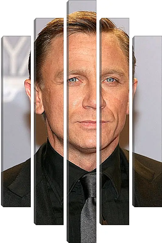 Модульная картина - Дэниел Крейг. Daniel Craig