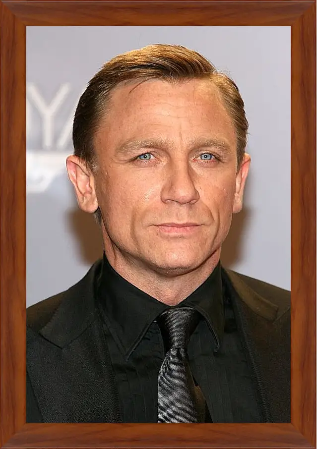 Картина в раме - Дэниел Крейг. Daniel Craig