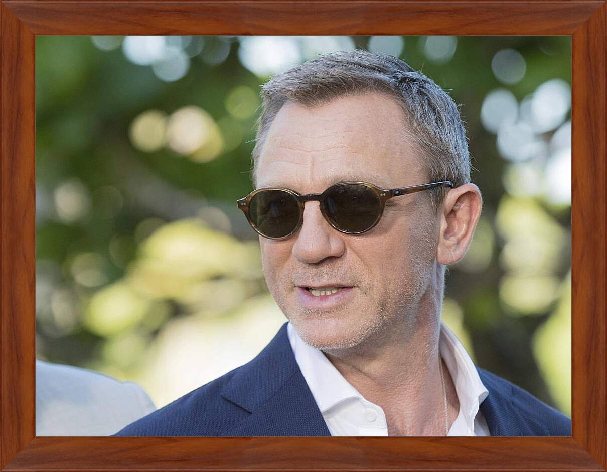 Картина в раме - Дэниел Крейг. Daniel Craig