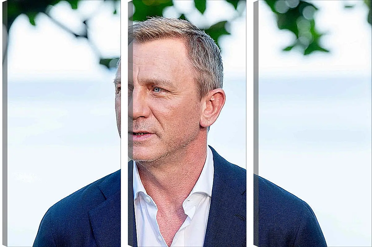 Модульная картина - Дэниел Крейг. Daniel Craig