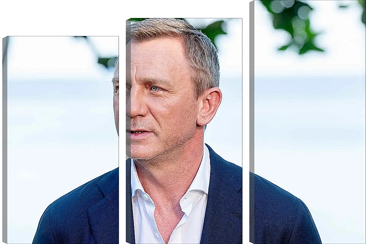 Модульная картина - Дэниел Крейг. Daniel Craig