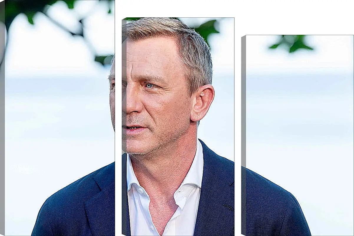 Модульная картина - Дэниел Крейг. Daniel Craig