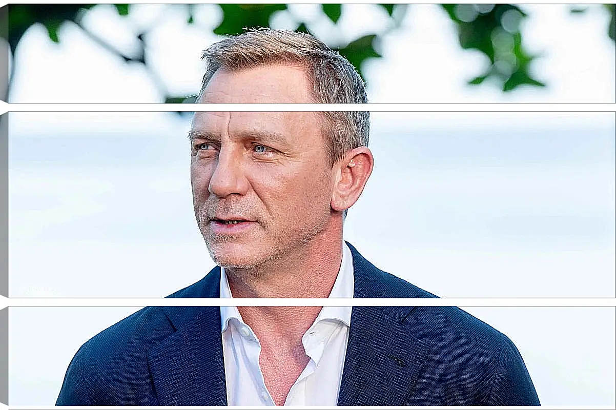 Модульная картина - Дэниел Крейг. Daniel Craig