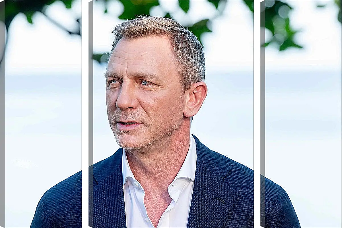 Модульная картина - Дэниел Крейг. Daniel Craig