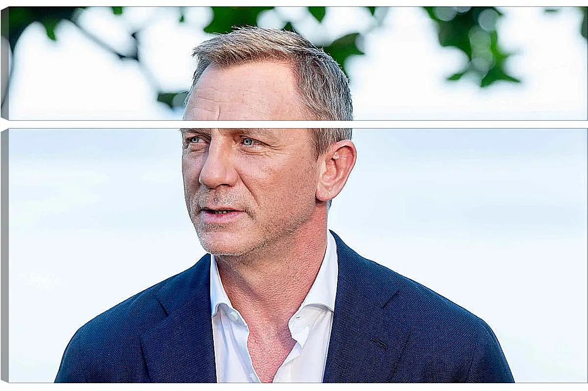 Модульная картина - Дэниел Крейг. Daniel Craig