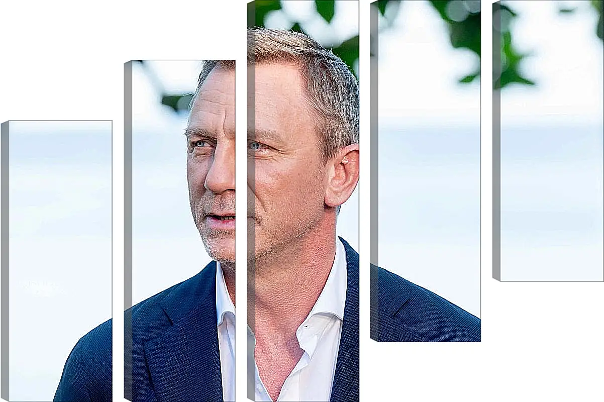 Модульная картина - Дэниел Крейг. Daniel Craig