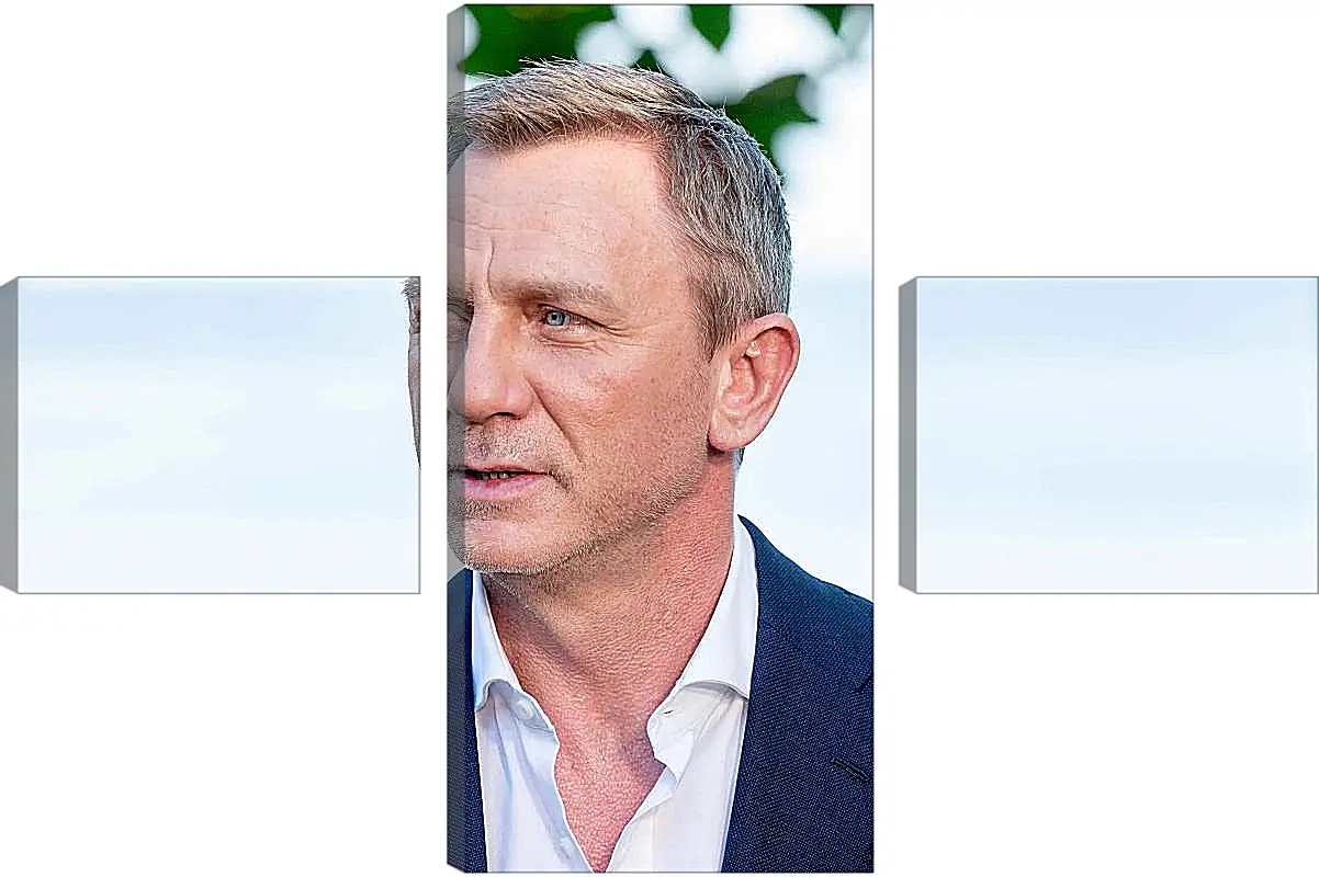 Модульная картина - Дэниел Крейг. Daniel Craig