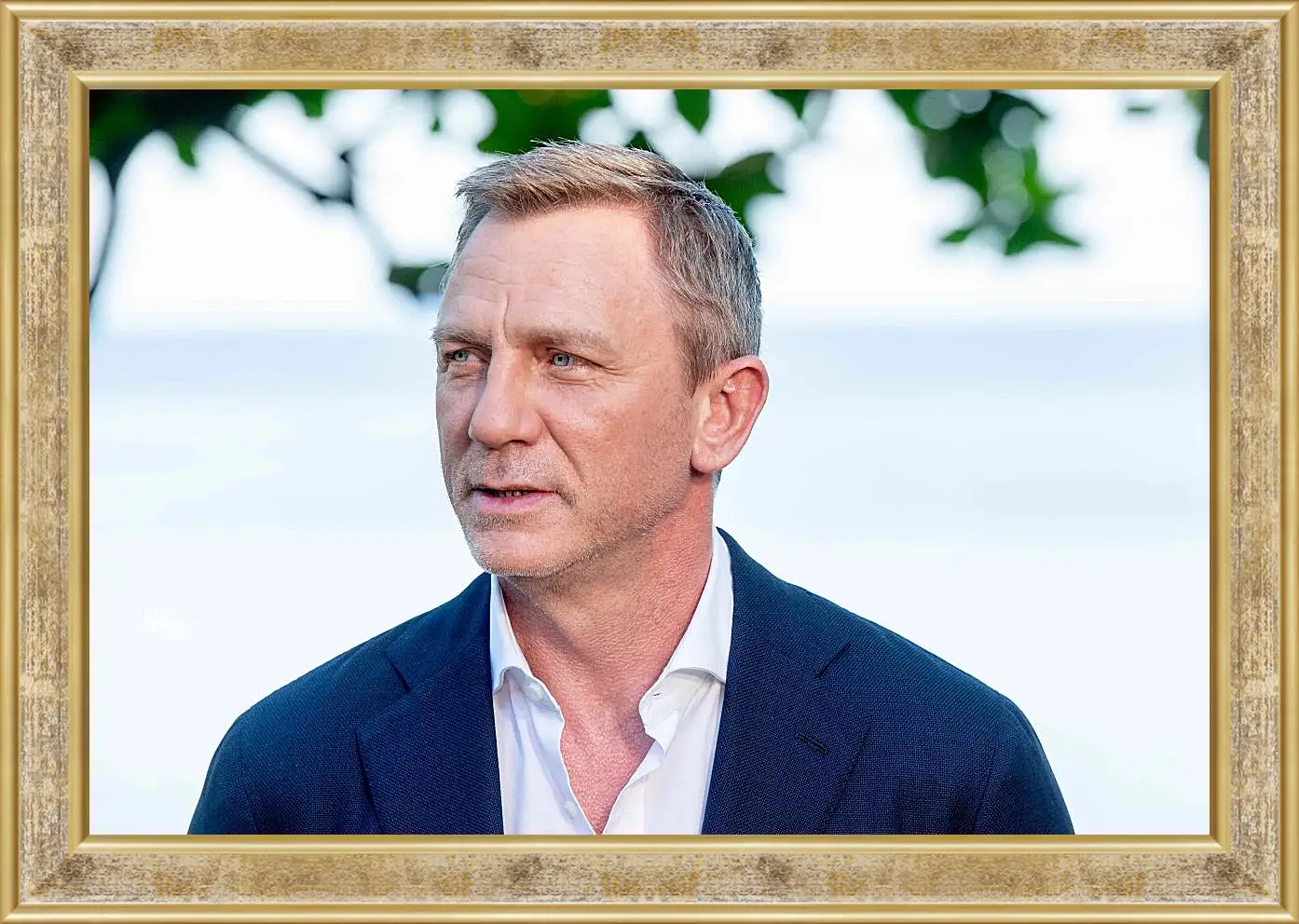 Картина в раме - Дэниел Крейг. Daniel Craig