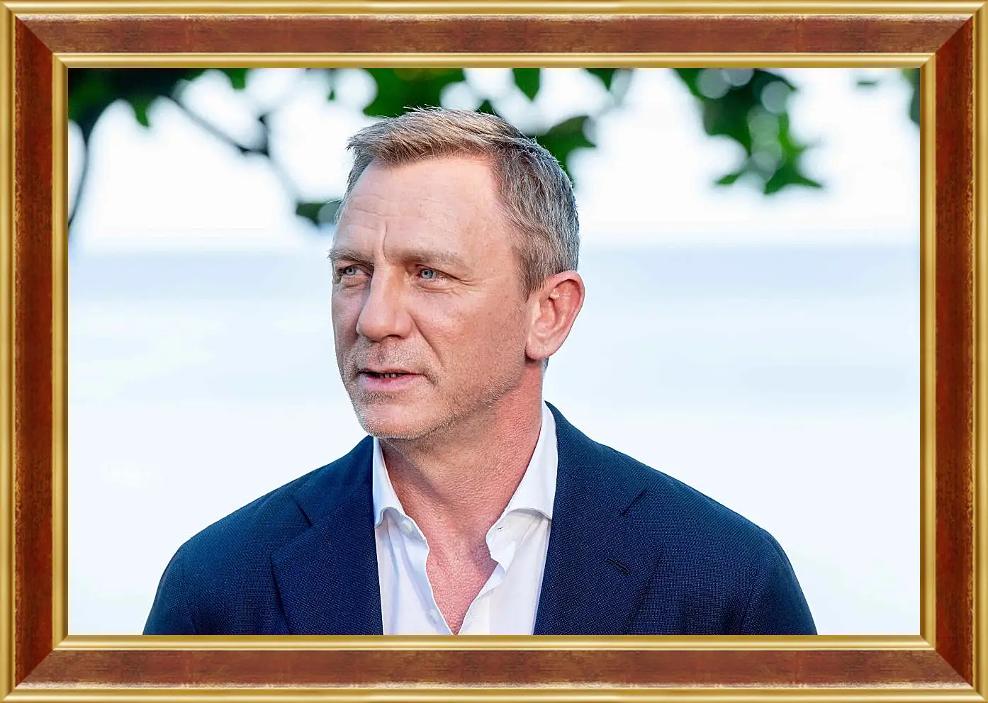 Картина в раме - Дэниел Крейг. Daniel Craig