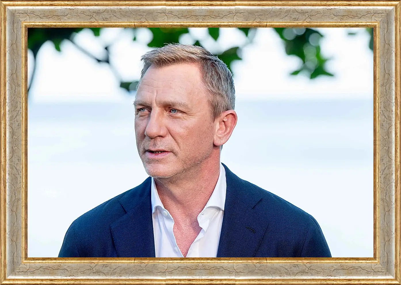 Картина в раме - Дэниел Крейг. Daniel Craig