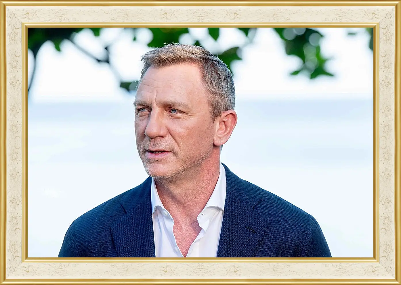 Картина в раме - Дэниел Крейг. Daniel Craig