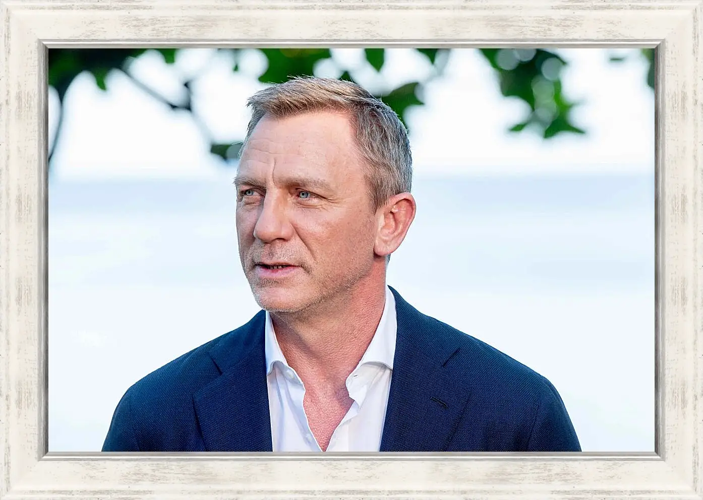 Картина в раме - Дэниел Крейг. Daniel Craig