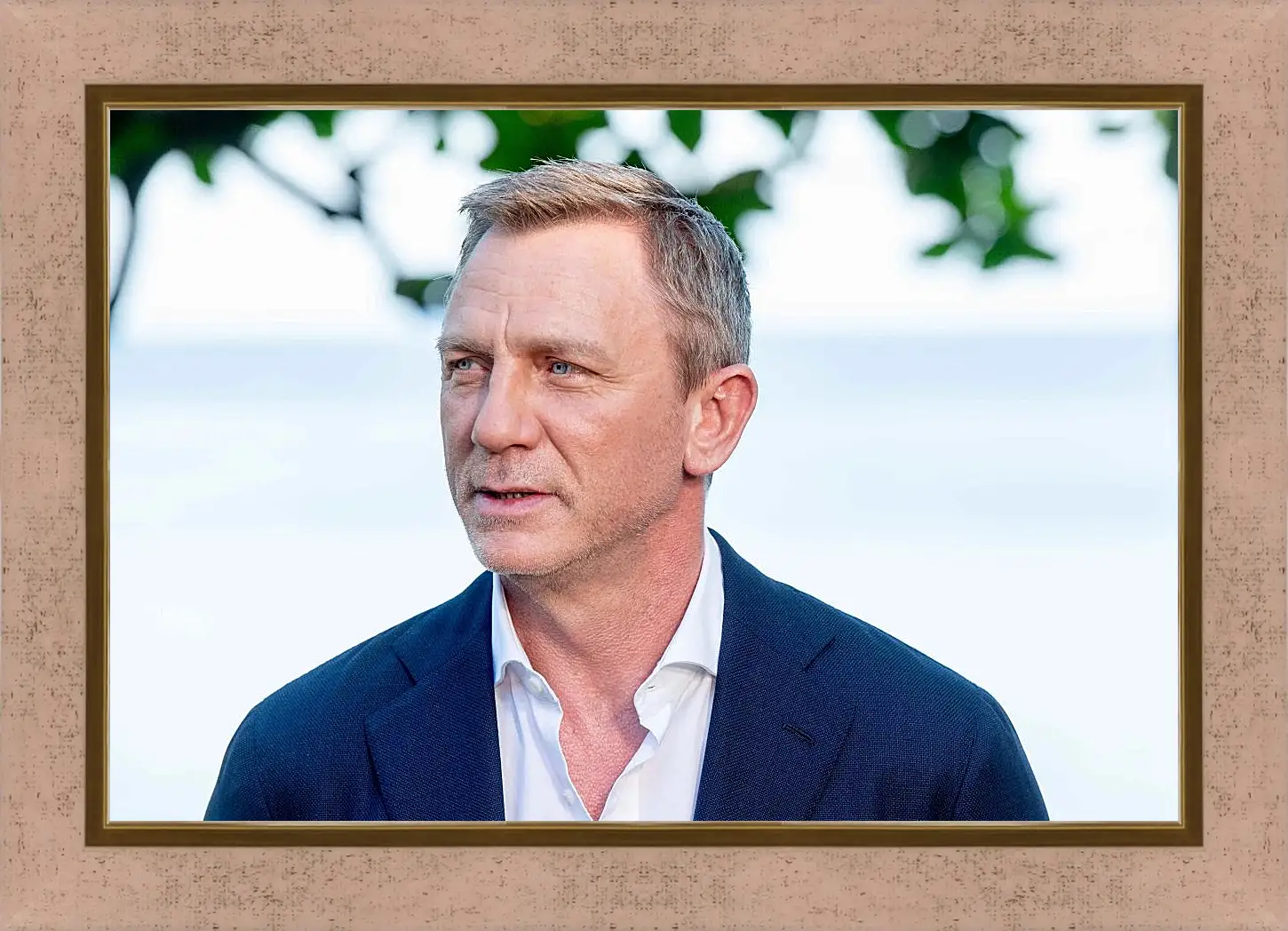 Картина в раме - Дэниел Крейг. Daniel Craig