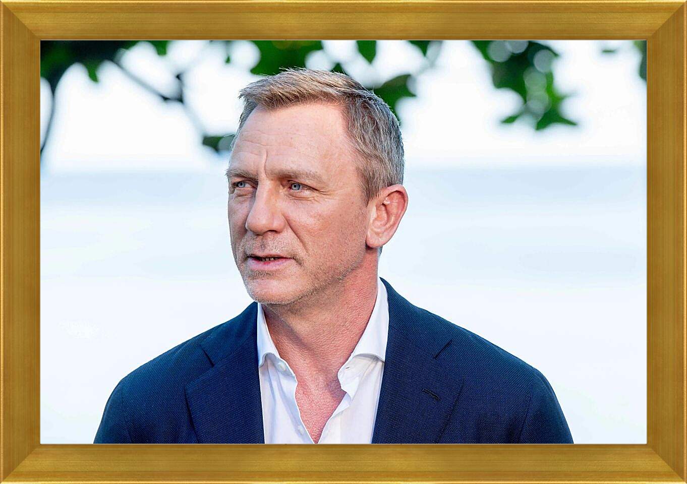 Картина в раме - Дэниел Крейг. Daniel Craig