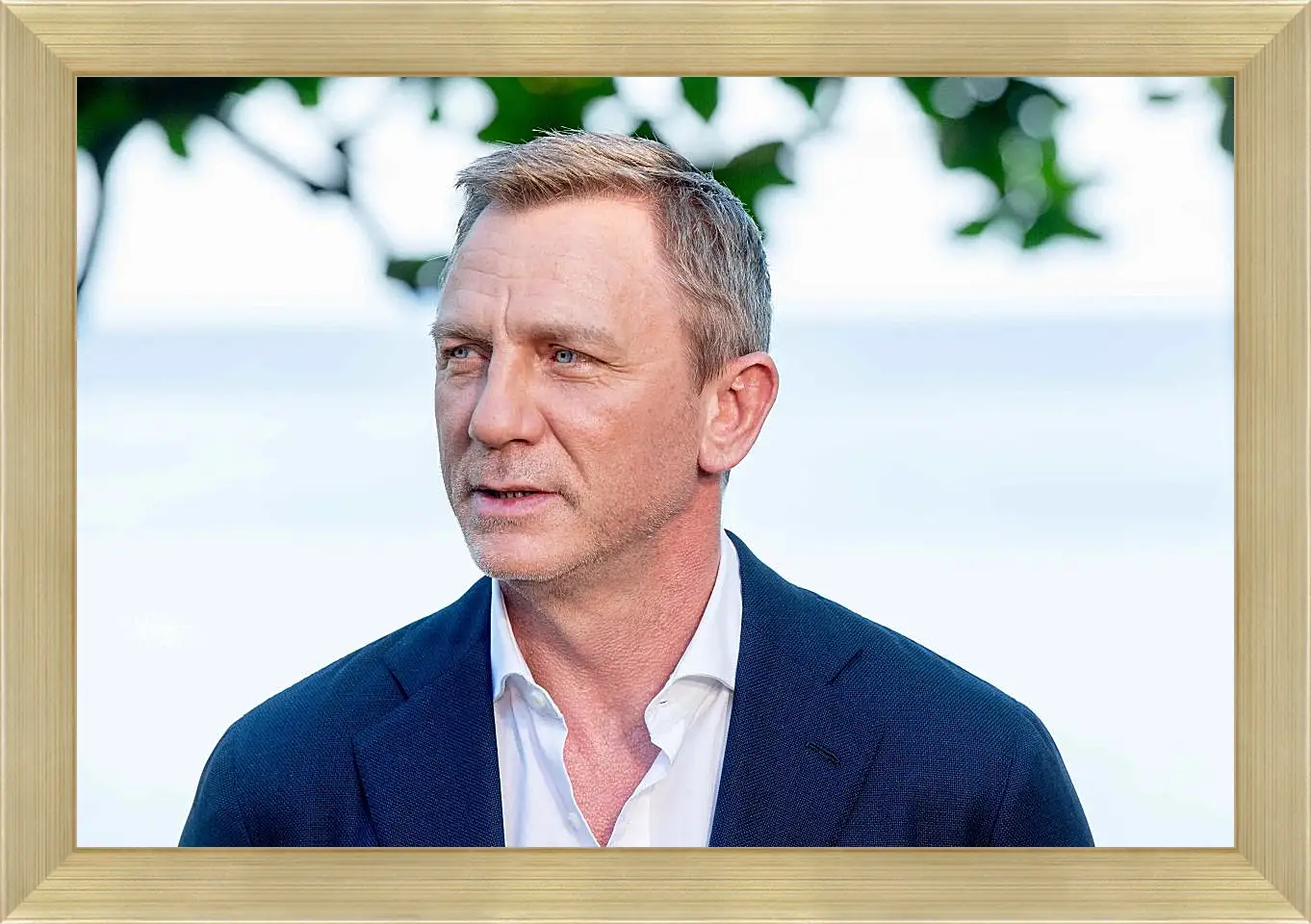 Картина в раме - Дэниел Крейг. Daniel Craig