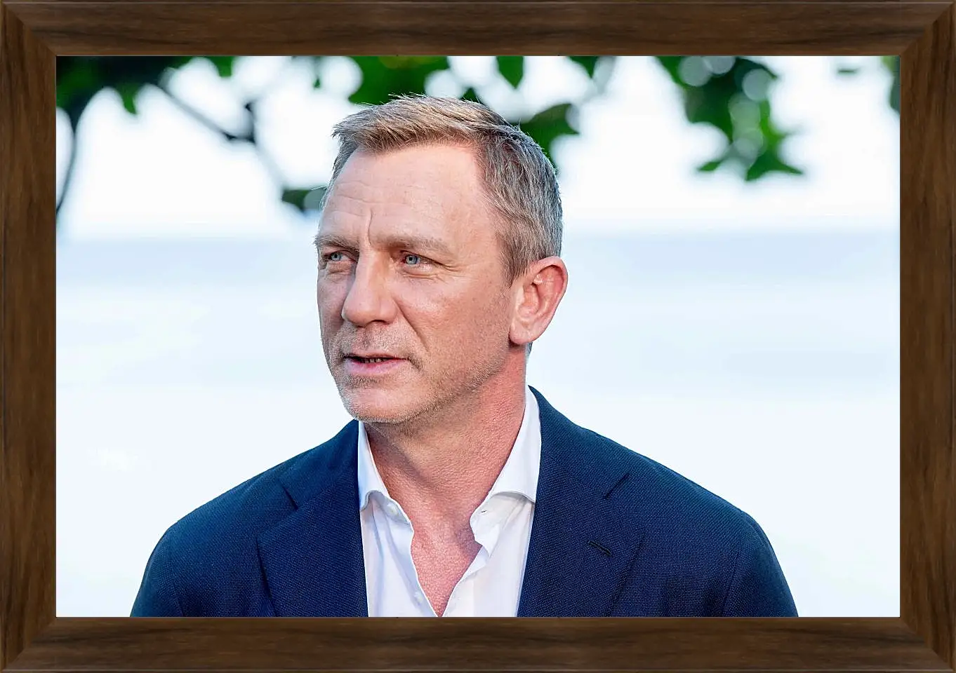 Картина в раме - Дэниел Крейг. Daniel Craig