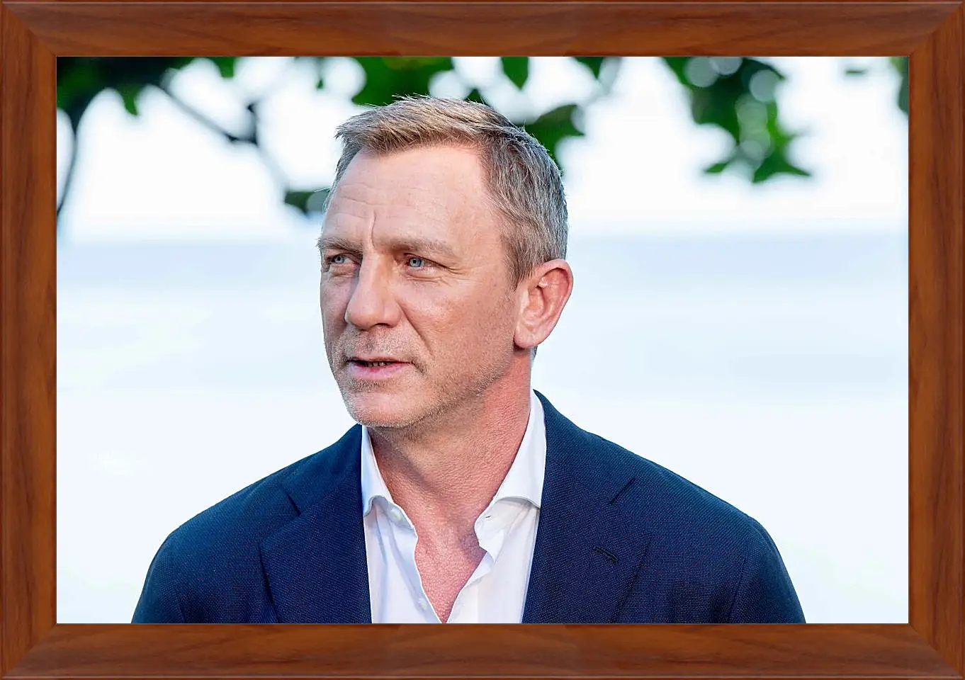 Картина в раме - Дэниел Крейг. Daniel Craig