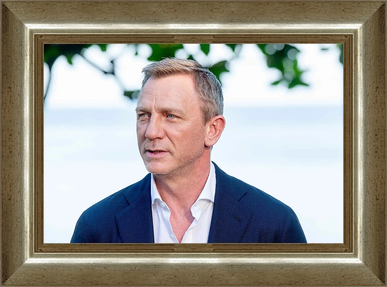 Картина в раме - Дэниел Крейг. Daniel Craig