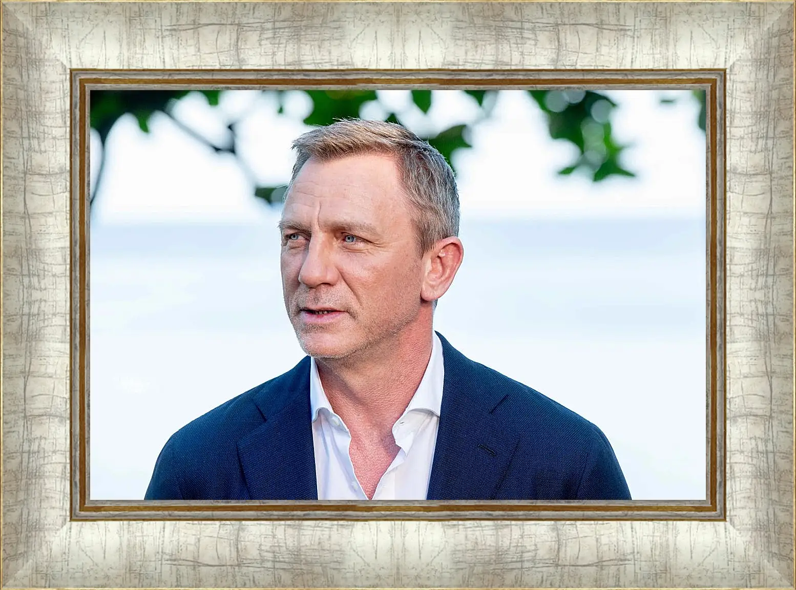 Картина в раме - Дэниел Крейг. Daniel Craig