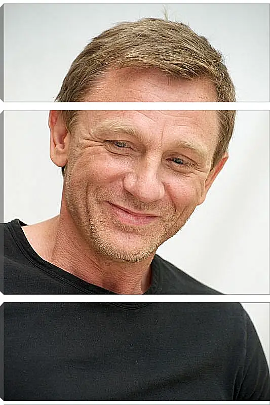 Модульная картина - Дэниел Крейг. Daniel Craig