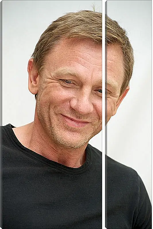 Модульная картина - Дэниел Крейг. Daniel Craig