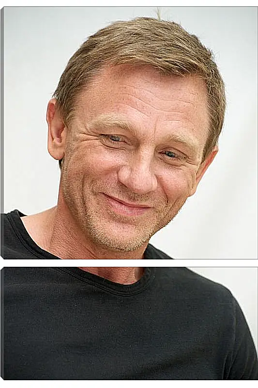 Модульная картина - Дэниел Крейг. Daniel Craig