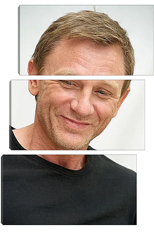 Модульная картина - Дэниел Крейг. Daniel Craig