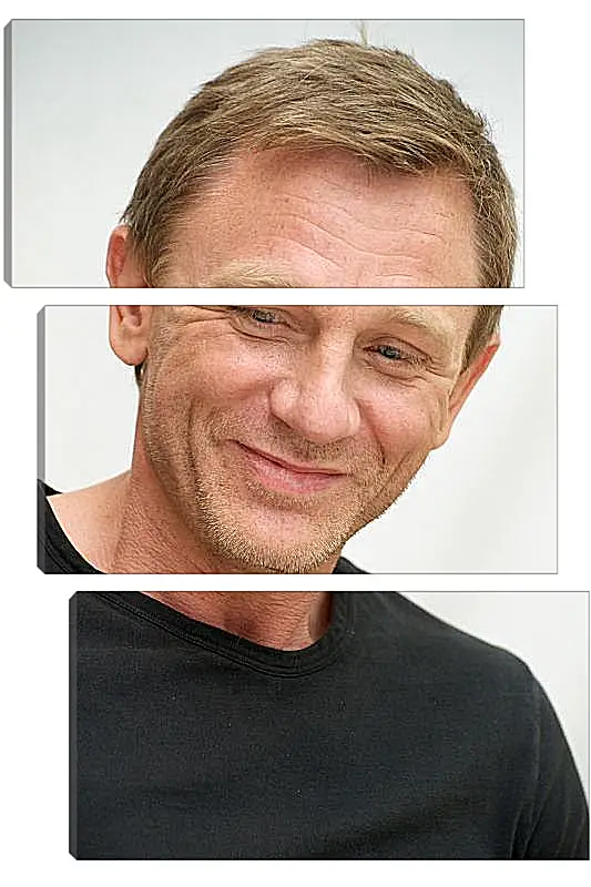 Модульная картина - Дэниел Крейг. Daniel Craig