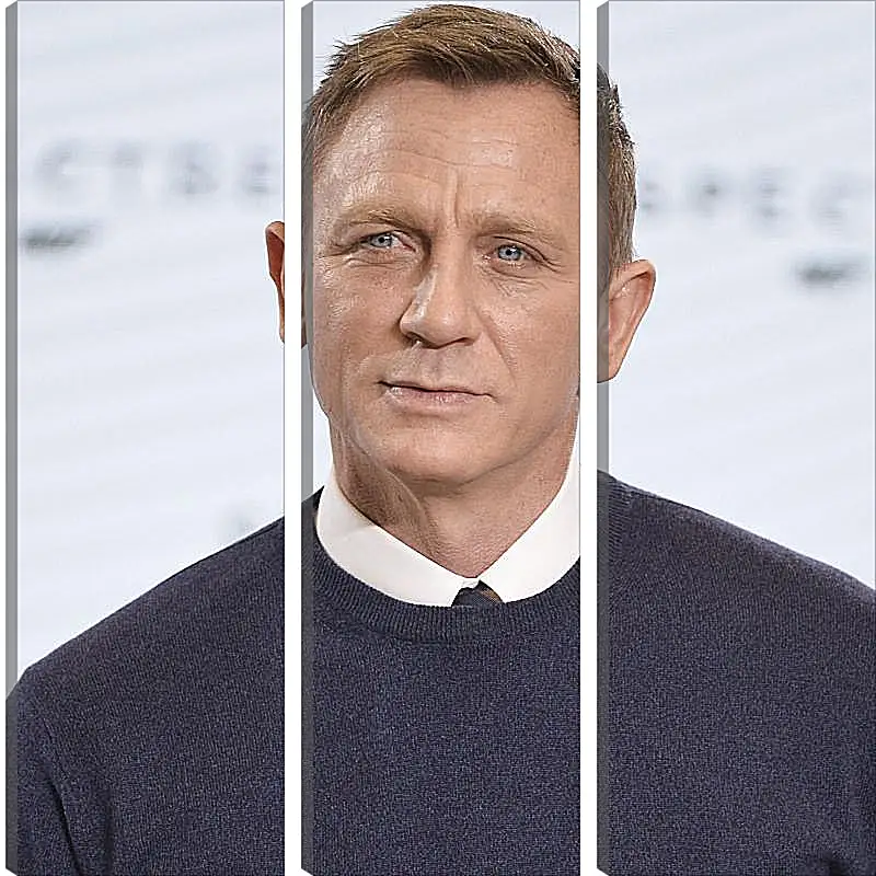 Модульная картина - Дэниел Крейг. Daniel Craig