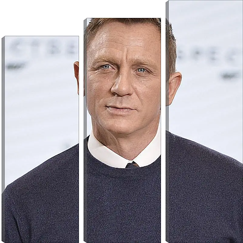 Модульная картина - Дэниел Крейг. Daniel Craig