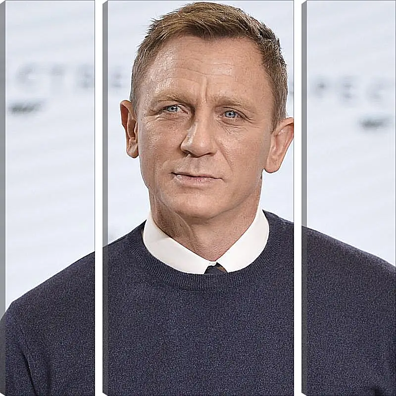 Модульная картина - Дэниел Крейг. Daniel Craig