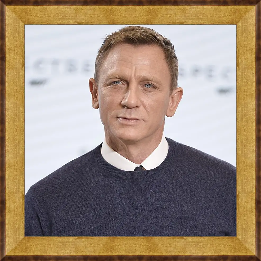 Картина в раме - Дэниел Крейг. Daniel Craig