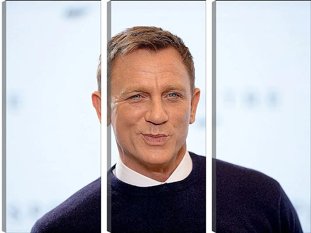 Модульная картина - Дэниел Крейг. Daniel Craig