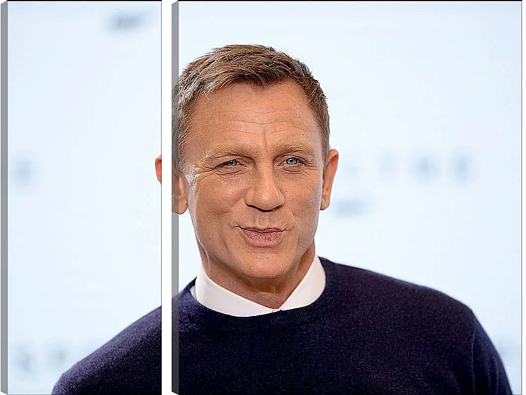 Модульная картина - Дэниел Крейг. Daniel Craig