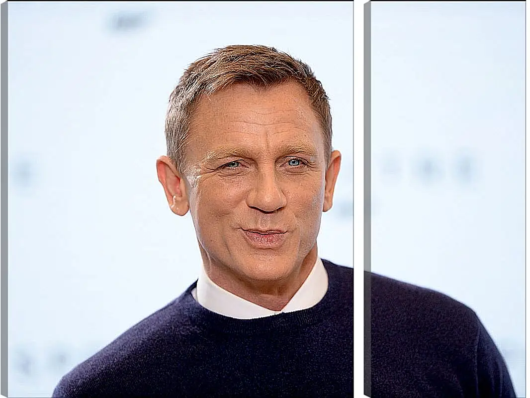 Модульная картина - Дэниел Крейг. Daniel Craig