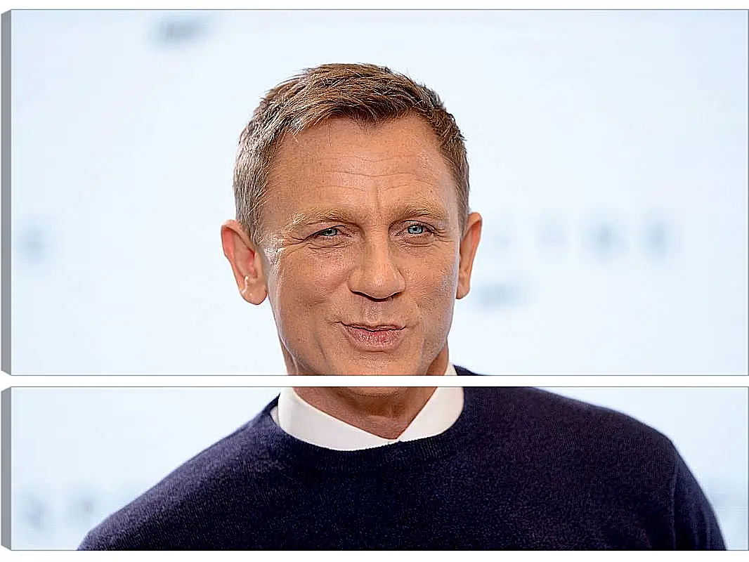 Модульная картина - Дэниел Крейг. Daniel Craig