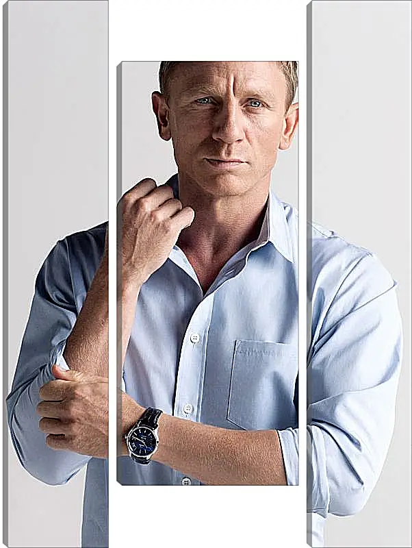 Модульная картина - Дэниел Крейг. Daniel Craig