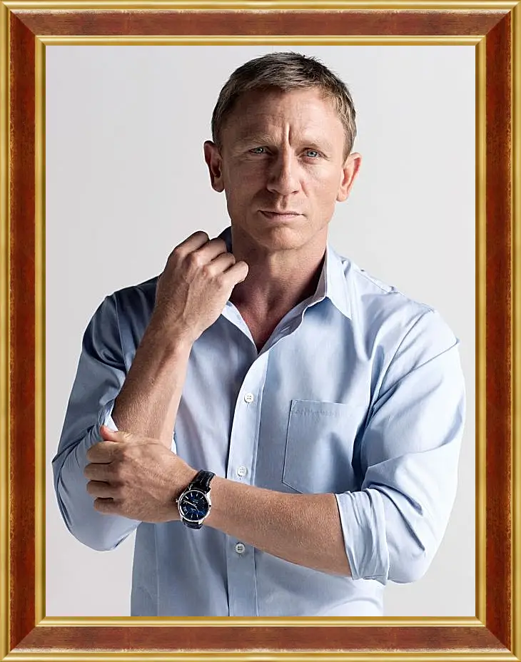 Картина в раме - Дэниел Крейг. Daniel Craig