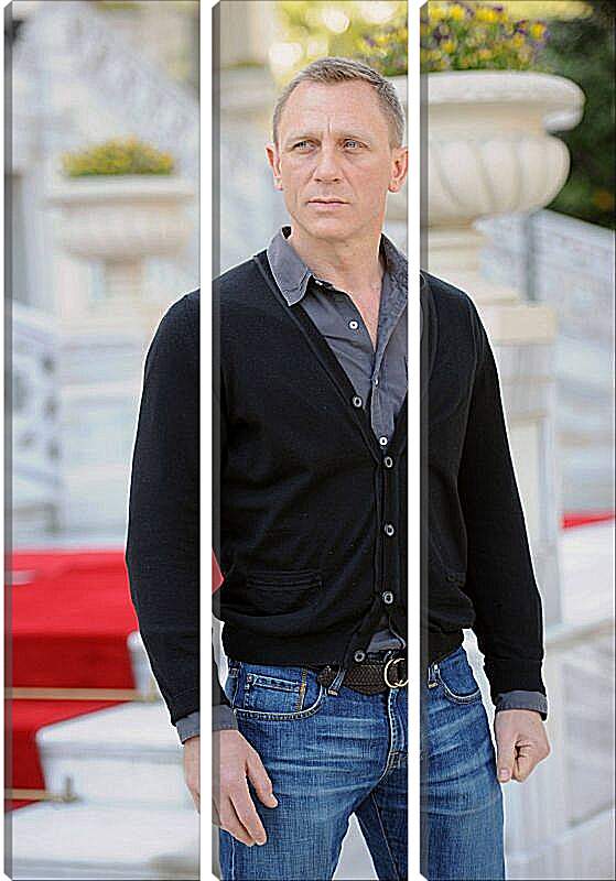 Модульная картина - Дэниел Крейг. Daniel Craig