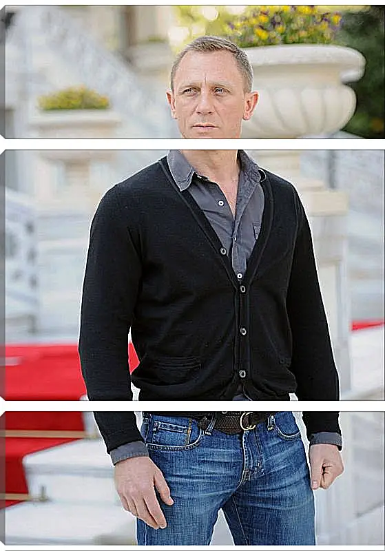 Модульная картина - Дэниел Крейг. Daniel Craig